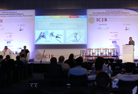 ICJR ME 2015 Gallery