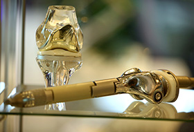 ICJR ME 2016 Gallery