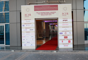 ICJR ME 2018 Gallery